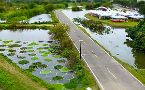 新北濕地藝術季持續加溫 1/16來和濕地女神動次動！