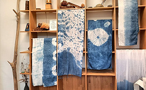 「美麗的福爾摩沙語言」新北特展登場