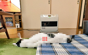 暖爐開貓咪液體化！網：像耍廢的我