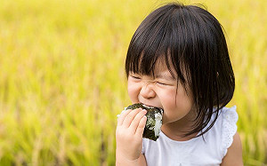 今天是御飯糰之日！ 日觀光局透露節日起源是因這件事......