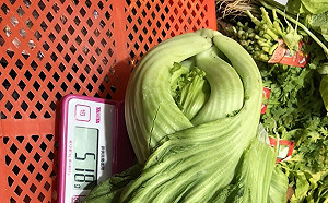 辦年貨要注意！北市稽查年節食品發現多項違規