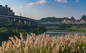 新北汐止草濫溪抽水站堤頂涼亭 增設體健設施舒活筋骨