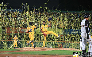 兄弟封王影片不見了　中職頻道遭盜