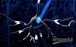 細胞死亡並非不可逆！科學家用「光遺傳」激活 gasdermin蛋白