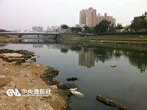 藍營指縱放日月光 高市府駁斥將提告