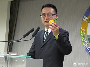 民進黨：立院正副院長未來不得兼任黨職