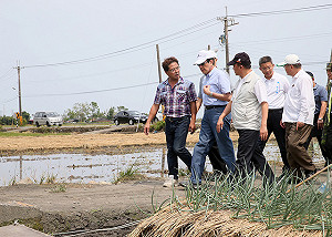 台南寒害損1億多 馬英九赴苗栗勘察草莓園