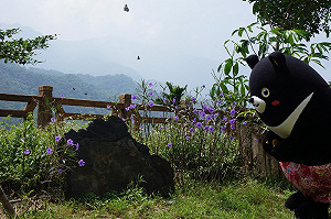 高雄2日遊338元 4大主題任意搭