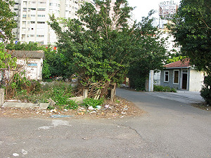 飛雁新村招標引質疑 市府開放決策獲國際矚目