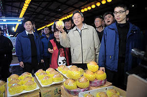 年關蔬菜漲價  張善政：貴的話就吃別的