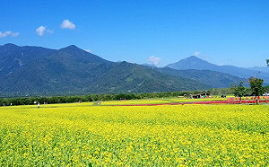 找出你的命定行程！森林遊樂區春節血型專屬攻略大公開