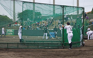 29人染新冠肺炎　日職還能春訓嗎？