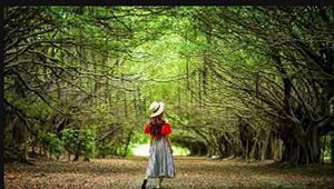 黃偉哲爭取連任秀出政績 任內3年獲獎912項 500項首獎居全台之冠