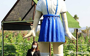 「田中窯」蜀葵花季來了！年假賞花玩陶好去處