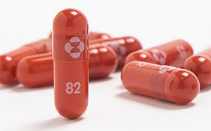 Omicron傳染力驚人 首批默沙東口服藥抵台