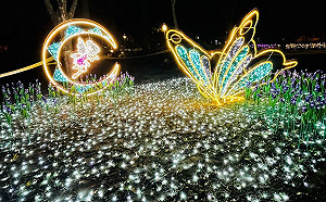 張燈結綵慶新年！全台7大燈節懶人包總整理