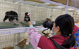 農委會預告動保法修正草案  緊急准入私領域執法