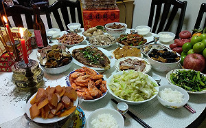 毛寶貝歡喜過新年 新北動保處提醒食衣住行四大雷區