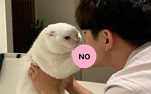 白貓討厭被親！舉手拒絕奴才：閃開