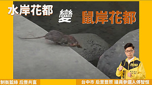 葫蘆墩圳環境差 時力參選人譏：水岸花都變鼠岸花都