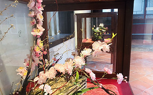 新北「春遊林園賞秋華」 千年蓪草花藝重現菊展風光