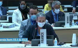 WHO執委會 歐盟、法國、5友邦接力發聲 力挺台灣參與