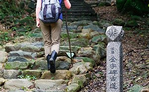 虎年春遊來新北 步步生風行大運  