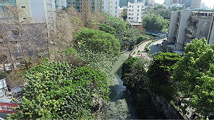 推動水岸建設 新北水利地「競價收購」聯合招標