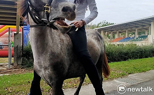 新春好去處！大人小孩都愛 后里馬場魔幻藝術嘉年華開幕了