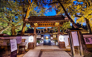 春節嘉義市景點不打烊  點選「愛嘉義app」報給你知