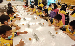 新北觀光工廠虎年迎新 探索觀光特色產業