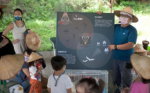 賞花、焢窯、拔蘿蔔！春節新北休閒農遊樂趣多