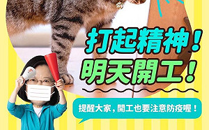 明天開工！蔡英文曬愛貓精神喊話：打起精神繼續為台灣打拚