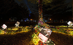 到台灣燈會賞燈搖紅包！與衛武營6大燈區打卡可抽千元好禮