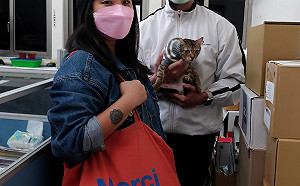 新北浪貓喜獲法國新家人 幸福合影迎虎年