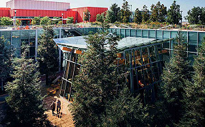 歐洲快不能用臉書和IG了！Meta考慮關閉歐洲地區的臉書和IG