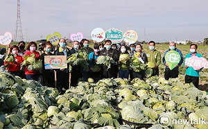 黃偉哲號召用行動挺菜農 邀企業團體認購高麗菜做公益