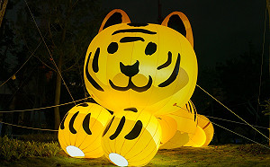 2022台北燈節怎麼玩？精彩5大攻略路線報你知