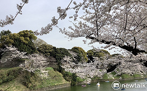 劉黎兒觀點》日本「SAKOKU」 ！解封遙遙無期 、損失不計其數 台灣應以為鑑