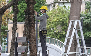 基本工資調漲配套方案上路1個月 逾1萬件申請補貼