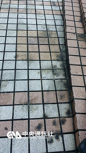 黨中央遭擲汽油彈 藍:持續追求社會和諧