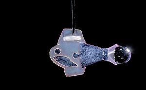 「人造魚」出世！能活超過100天 被視為培育「人造心臟」的突破