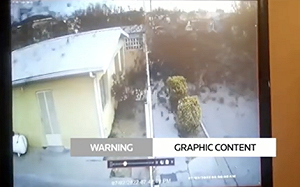 墨西哥天上一朵烏雲突然炸下來 竟是大量候鳥離奇墜地集體死亡