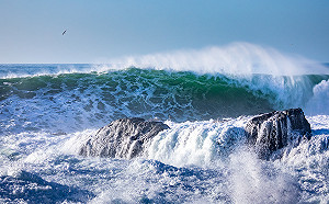 千年一遇! 四層樓高的巨浪  打破溫哥華島海岸記錄