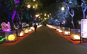 台灣燈會展現濃濃日本風！美濃和紙燈籠打造浪漫藝術光廊