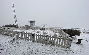 玉山下雪了！超美雪白景色曝光