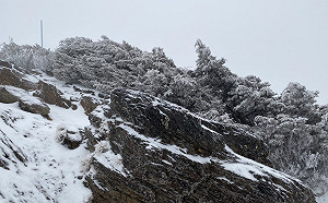 (影)玉山連續降雪16小時！積雪1.5公分成銀白仙境
