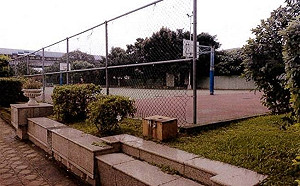 背後傳球「不正常」致女騎士重摔 板橋籃球場設計不良公所竟沒事