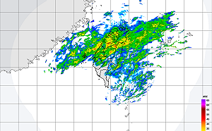 金馬持續低溫！北基宜花落大雨 18縣市刮強風