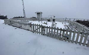 (影)下冰霰轉降雪！玉山積雪2公分銀白美景曝光